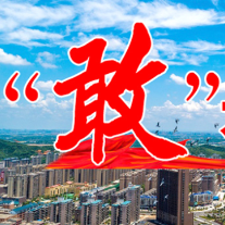 “敢”在莲乡丨四级人大代表谈“四敢”