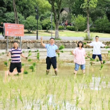 芒种节气 邓述东和湖南科大师生在韶山种下“科技粮”