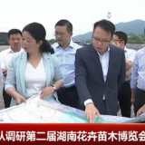 胡贺波调研第二届湖南花卉苗木博览会筹备工作