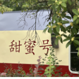韶山：秋风起 桂花馨香溢满城
