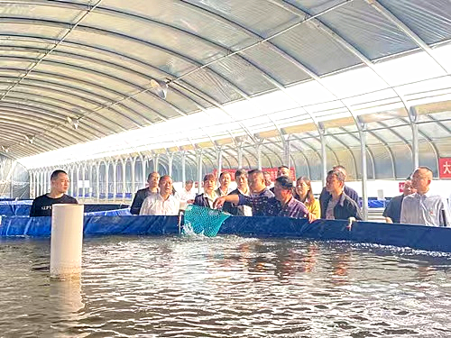 雨湖区鹤岭镇发展壮大集体经济 助力乡村全面振兴