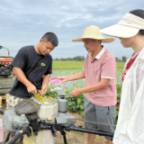 湘潭县：科技特派员田间“传经” 护航晚稻栽插保丰收