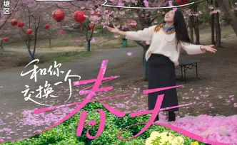 岳塘⇌吉首：在樱花咖啡与苗寨茶香之间，品味湖南春天的两种味道丨和你交换一个春天③