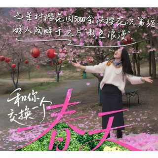 岳塘⇌吉首：在樱花咖啡与苗寨茶香之间，品味湖南春天的两种味道丨和你交换一个春天③