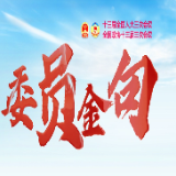 视频 | 第二场委员通道的高光时刻