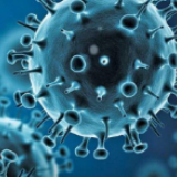 视频丨世卫称新冠病毒传播不受季节影响 