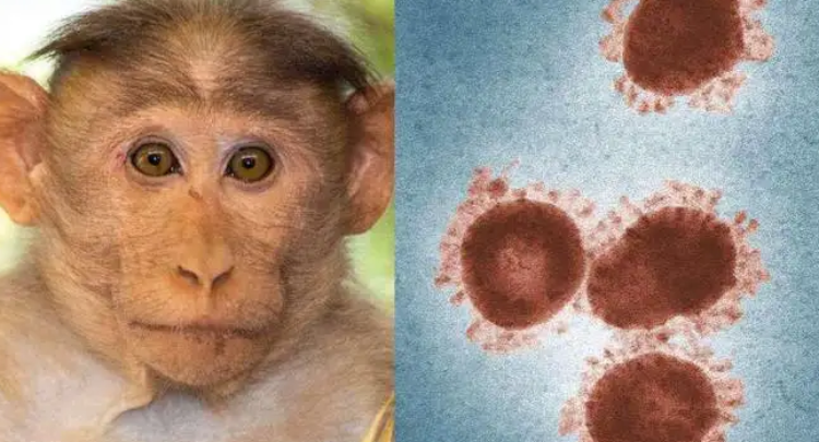 注猴痘疫情 世卫组织：全球已上报超过7万例猴痘病例