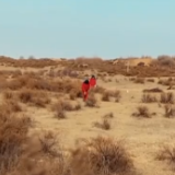 春节在岗位 毛乌素沙漠采气人14年的坚守