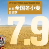 在希望的田野上·三夏 全国冬小麦已收获7.9%