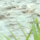 国家防总 应急管理部等部门视频会商调度 局地暴雨多发散发 防汛抗洪多线作战