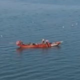 新疆巴州 渔船穿梭鱼虾肥 博斯腾湖迎秋捕黄金季