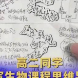 会变形的思维导图