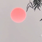 摄影师拍到中国画里的太阳