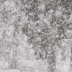 新闻链接 降雪量等级是如何划分的？