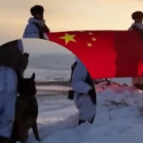 军犬首次上岗风雪巡逻路上超开心