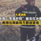 老鹰被冻河面消防来救命