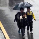 温馨一幕！男孩雨中小跑小伙伴们撑伞赶来