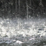 湖南部分地区降暴雨 11座水库水位超汛限