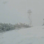 大兴安岭迎来今秋第一场雪