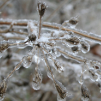 气象科普 什么是冻雨？
