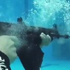 沉浸式感受水下实弹射击训练