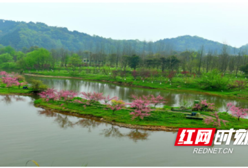 桃花源旅游管理区“两山”如此多娇