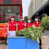 新时代文明实践耀武陵：府坪街道青阳阁社区开展“艾草飘香·浓情端午”志愿服务活动