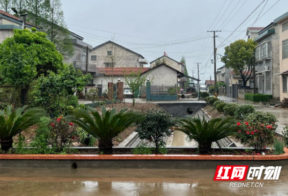 澧县小渡口镇：生态文明建设助力乡村振兴战略