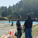 常德桃源：人大代表入田间 助力春耕保生产