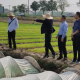 常德市督导组检查指导柳叶湖旅游度假区早稻集中育秧及春耕备耕工作