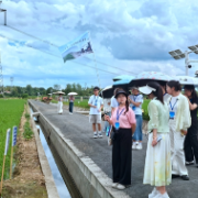 常德组织开展“沿着总书记的足迹丨看常德”主题学习教育活动