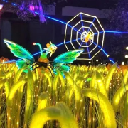 澧县城头山新春灯会·非遗焰火大庙会来啦!1月25日起免费送门票!