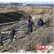 以春为序，奏响田间新乐章丨鼎城区港中坪片区农田建设正当时