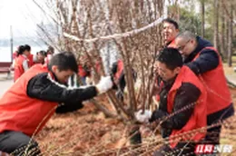 组图丨常德市园林绿化服务中心：响应全民植树号召，共建美丽常德