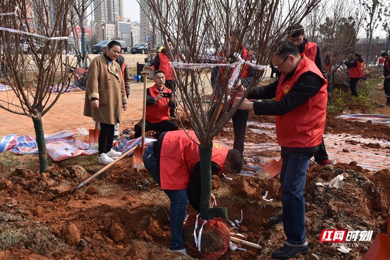 为响应“全民义务植树”的号召，共建美丽常德，3月7日上午，常德市园林绿化服务中心组织干部职工来到穿紫河北岸（婚庆产业园）开展义务植树造林活动。