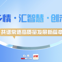 海报｜德商心里话 扎根家乡“结硕果”