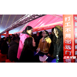 常德经开区举行2026年“春风行动”大型招聘会