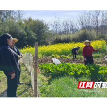 桃源县佘家坪镇:理论飞入寻常家 民生花开遍地香