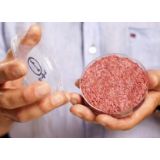 在口味价格上下功夫，人造肉市场才能做大