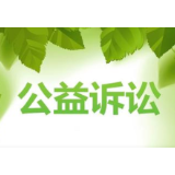 环境公益诉讼，检察机关必须有所作为