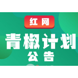 评论新星如何养成？红网“青椒计划”上线！