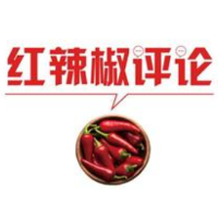【地评线】红辣椒网评：读懂中国经济“V型”反转的制度密码