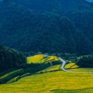 芙蓉国评论丨拒绝舌尖浪费，争做节粮人士