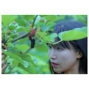 食品安全屡遭投诉，“李子柒”要爱惜羽毛