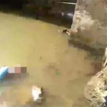 姐姐因无力抚养弟妹跳河，别让父母“隐身”了