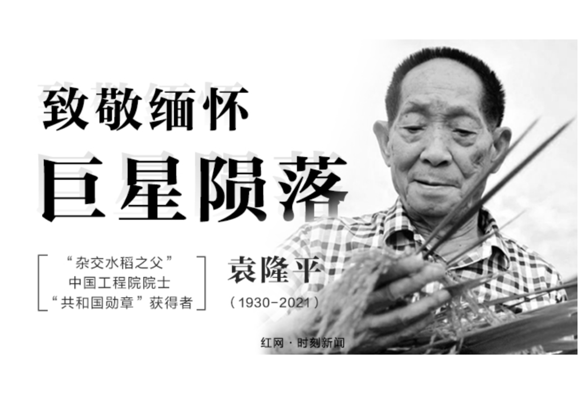 “缅怀袁老 永恒之光” ④ ：饱食者当常忆袁公