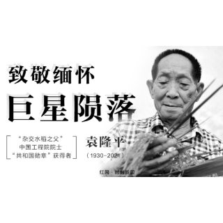 “缅怀袁老 永恒之光” ① ：一粒种子，改变中国与世界