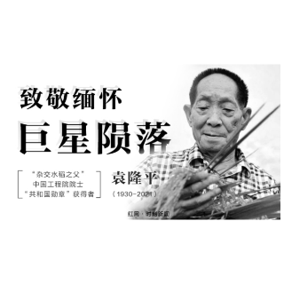 “缅怀袁老 永恒之光” ⑤ ：传承，是最好的怀念