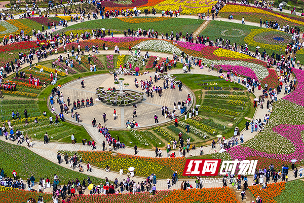 湖南省植物园+周灿黎.jpg