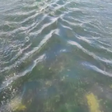 偏远地区百姓喝上了优质水 湖南破解山区水质波动难题